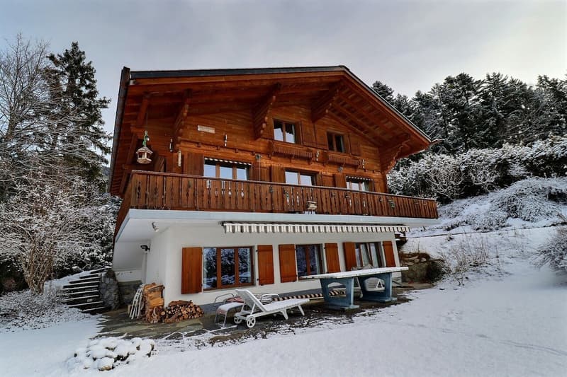 Magnifique chalet dans un écrin de verdure (2)