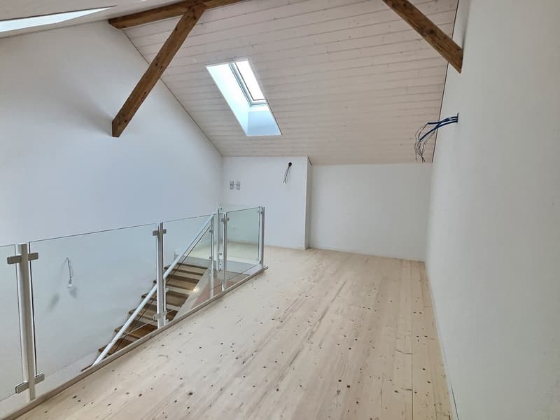 Magnifique appartement de 4.5 pièces en duplex avec mezzanine (7)
