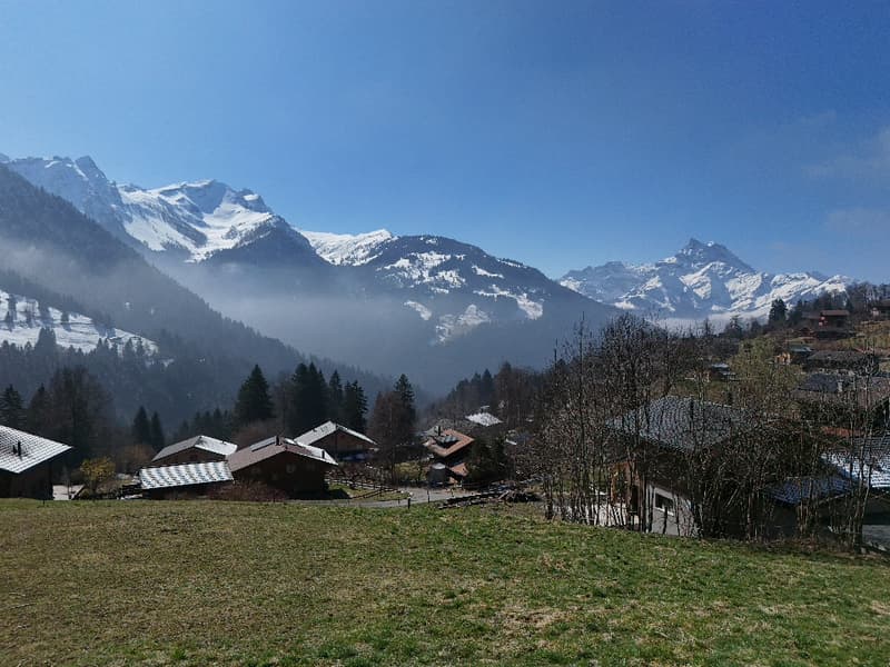 Terrain à vendre à Gryon avec permis de construire (1)