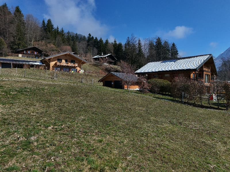 Terrain à vendre à Gryon avec permis de construire (2)
