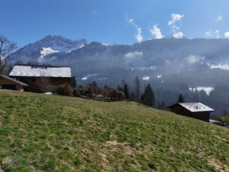 Terrain à vendre à Gryon avec permis de construire (5)