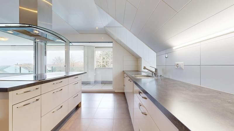 25 33 Magnifique attique en duplex avec terrasse (8)
