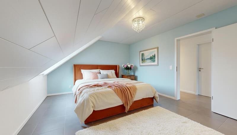 25 33 Magnifique attique en duplex avec terrasse (10)