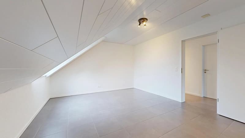 25 33 Magnifique attique en duplex avec terrasse (9)