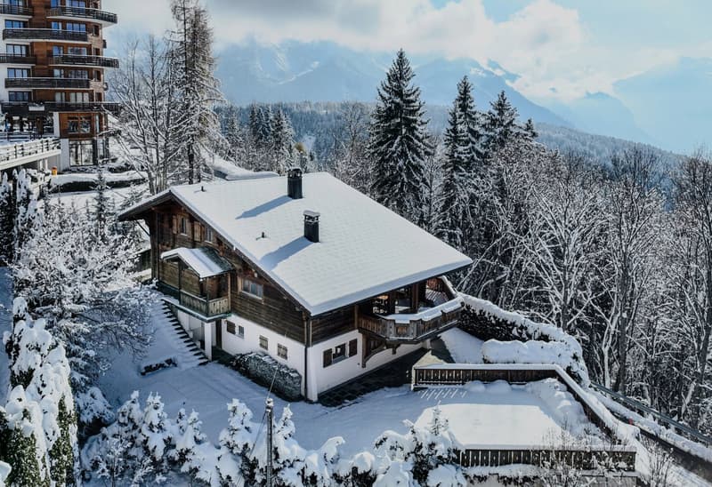 25 39 Chalet ideale Lage im alpinen Stil mit allem Komfort (3)