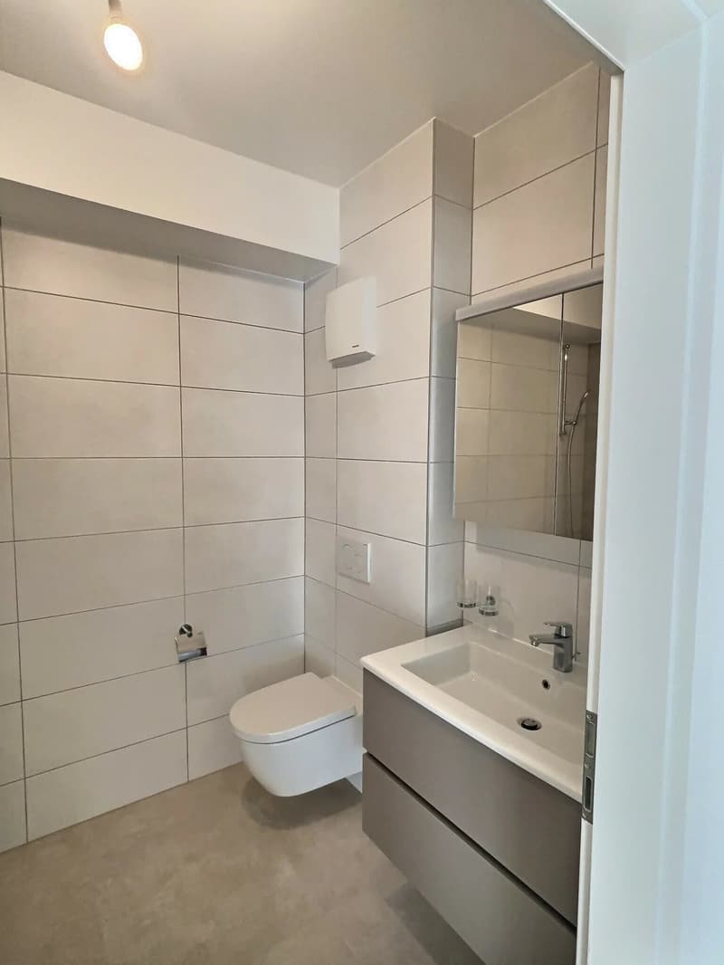 24 29 Magnificent 4.5-room apartment on the ground floor - Large terrace (8)