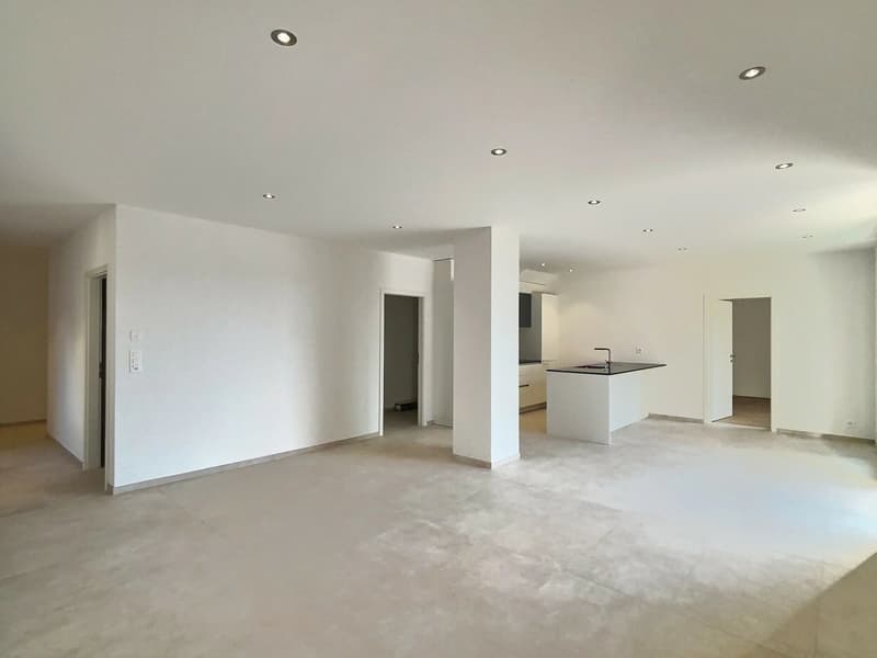 24 29 Magnificent 4.5-room apartment on the ground floor - Large terrace (3)