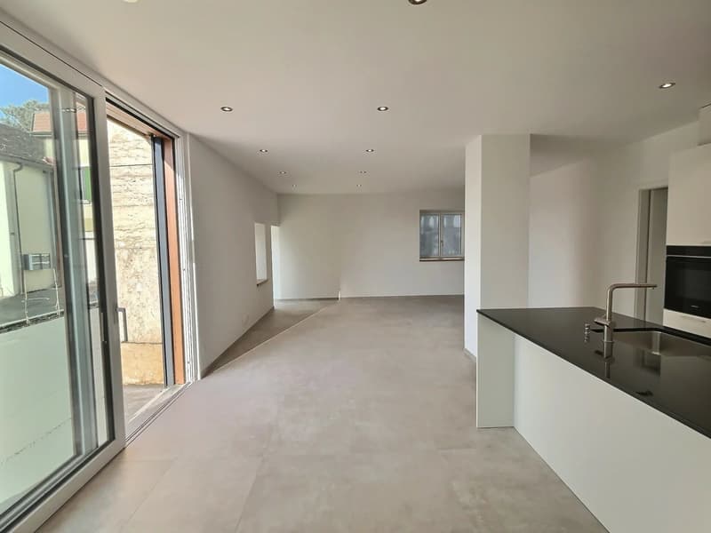 24 29 Magnificent 4.5-room apartment on the ground floor - Large terrace (10)