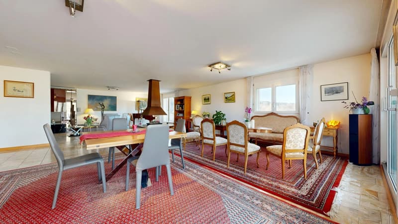 26 05 Appartement d'exception avec terrasse panoramique (7)