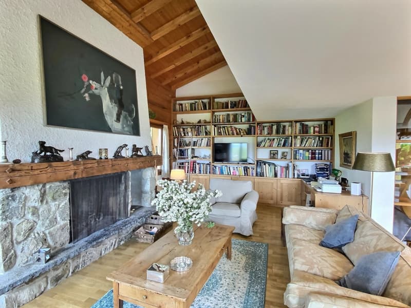 Meraviglioso chalet in un ambiente verde (13)