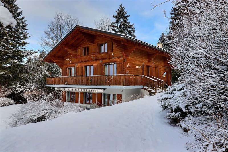 Meraviglioso chalet in un ambiente verde (1)