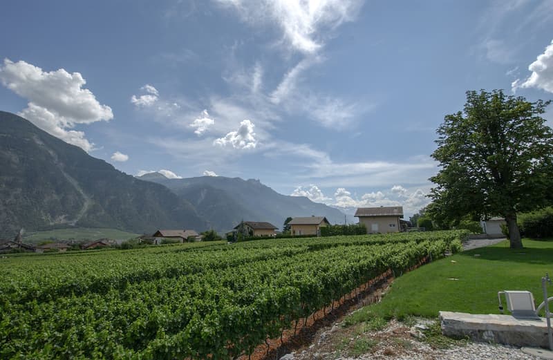 Terrain StPierredeClages ImmoScout24