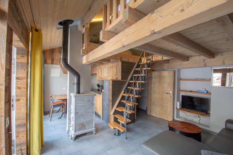Grande chalet individuale con un appartamento di 3.5 locali (35)