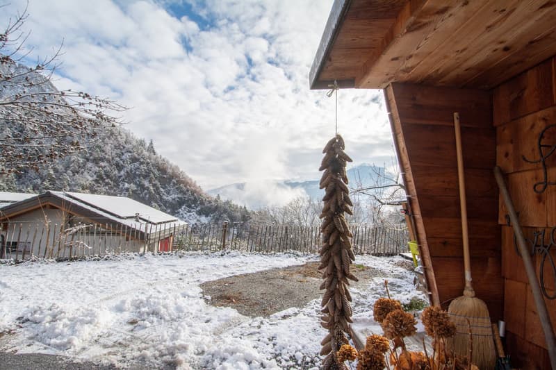 Grande chalet individuale con un appartamento di 3.5 locali (44)