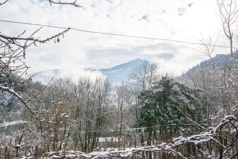 Grande chalet individuale con un appartamento di 3.5 locali (47)
