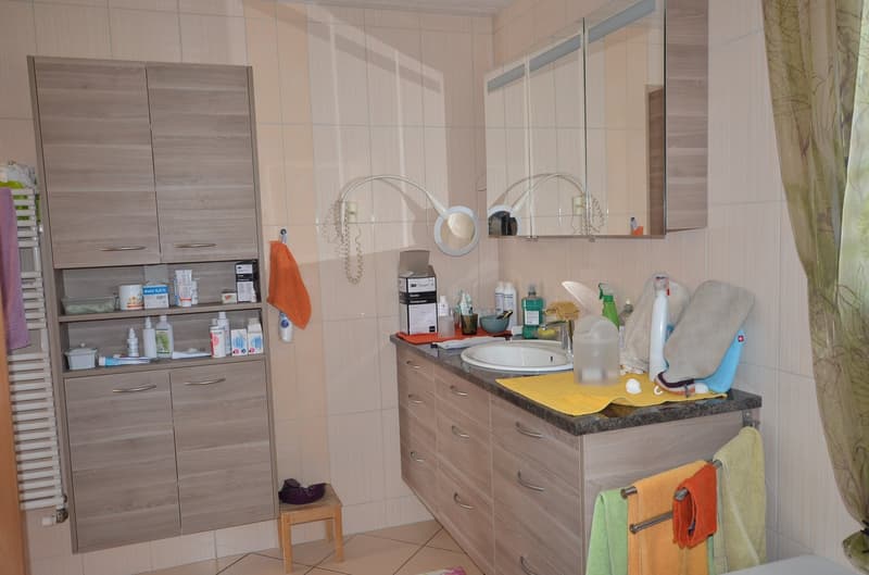 Villa de standing à vendre à Avenches (18)