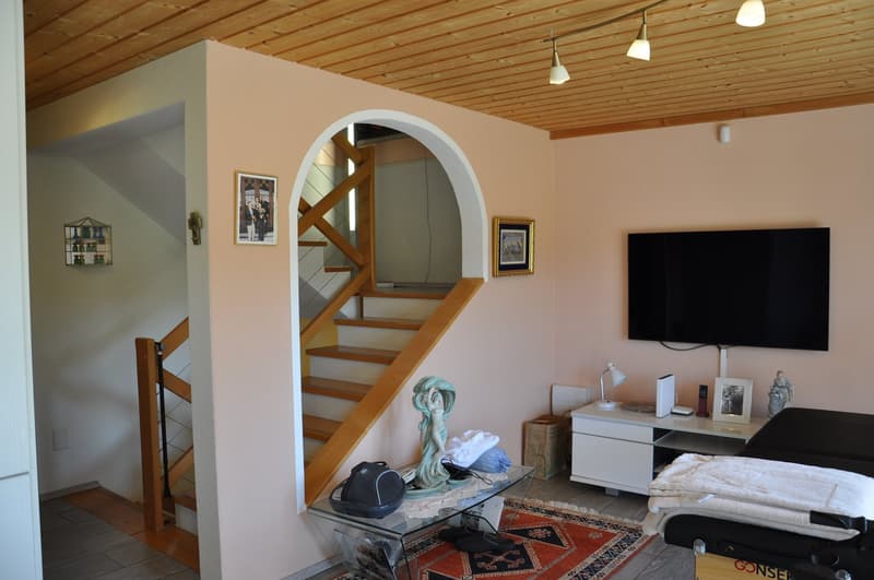 Villa de standing à vendre à Avenches (14)