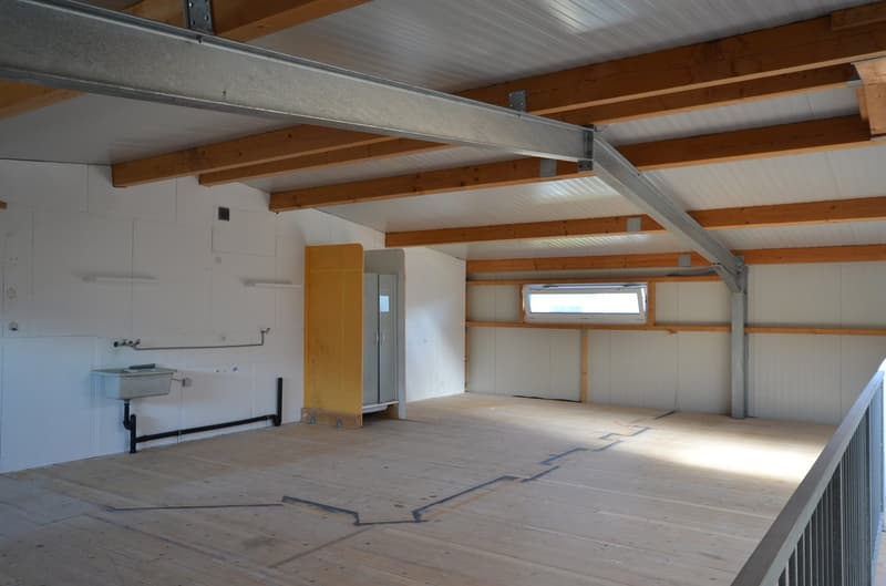 Zu vermieten: Gewerbehalle, Villa, Duplex, Parkplätze (13)