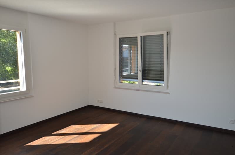 Zu vermieten: Gewerbehalle, Villa, Duplex, Parkplätze (7)