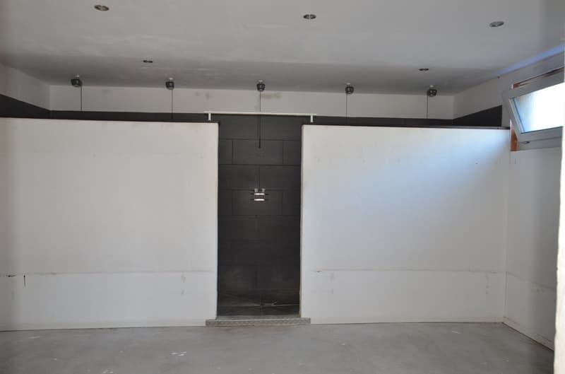 Zu vermieten: Gewerbehalle, Villa, Duplex, Parkplätze (12)