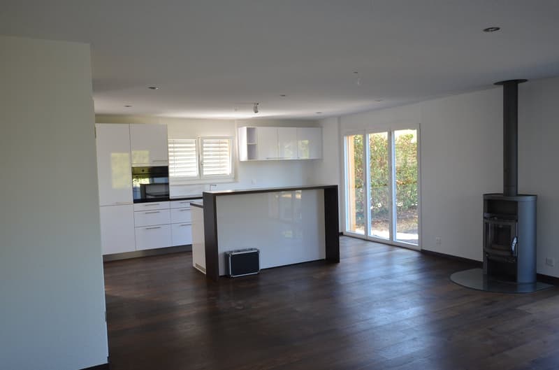 Zu vermieten: Gewerbehalle, Villa, Duplex, Parkplätze (3)
