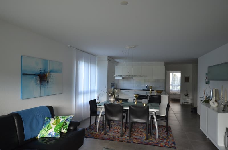 Magnifique appartement 4,5 pièces rez de jardin à Avenches (8)