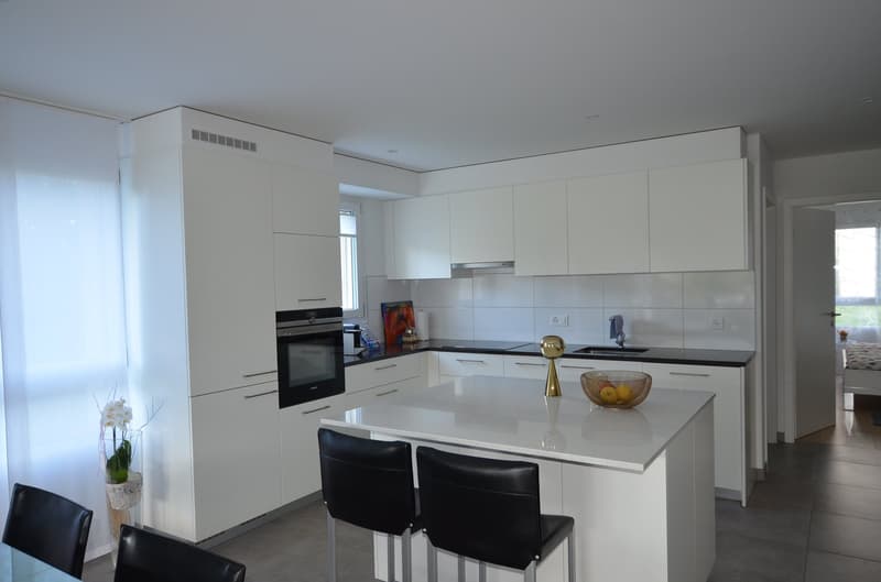 Magnifique appartement 4,5 pièces rez de jardin à Avenches (6)