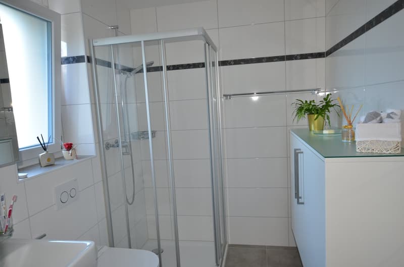 Magnifique appartement 4,5 pièces rez de jardin à Avenches (15)