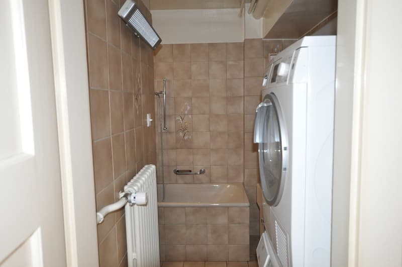 A louer spacieux appartement de 3 pièces avec cheminée à Avenches (7)