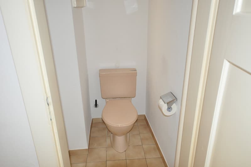 A louer spacieux appartement de 3 pièces avec cheminée à Avenches (9)