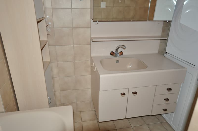 A louer spacieux appartement de 3 pièces avec cheminée à Avenches (8)