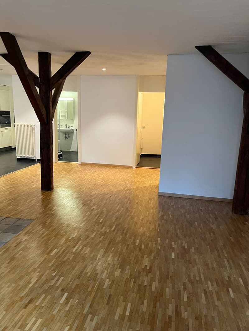 Delizioso appartamento di 2,5 locali al 4° piano nel centro di Losanna (4)