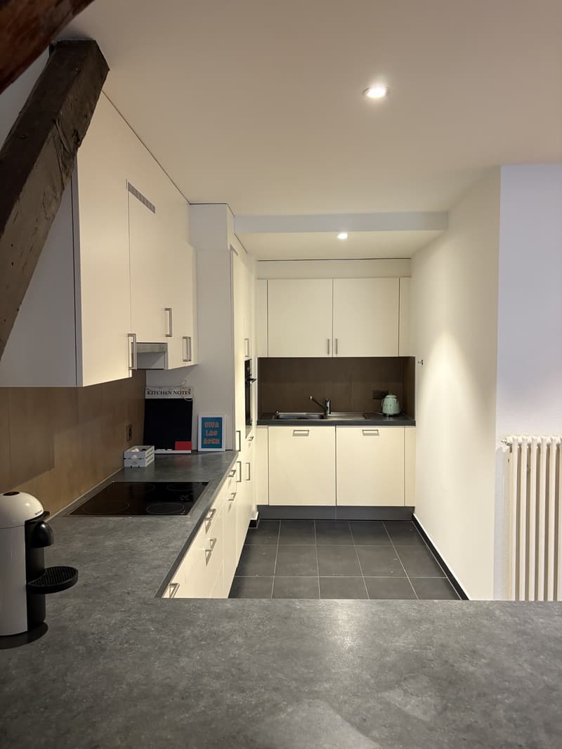 Magnificent 2.5-room apartment on the 4th floor in Lausanne (5)