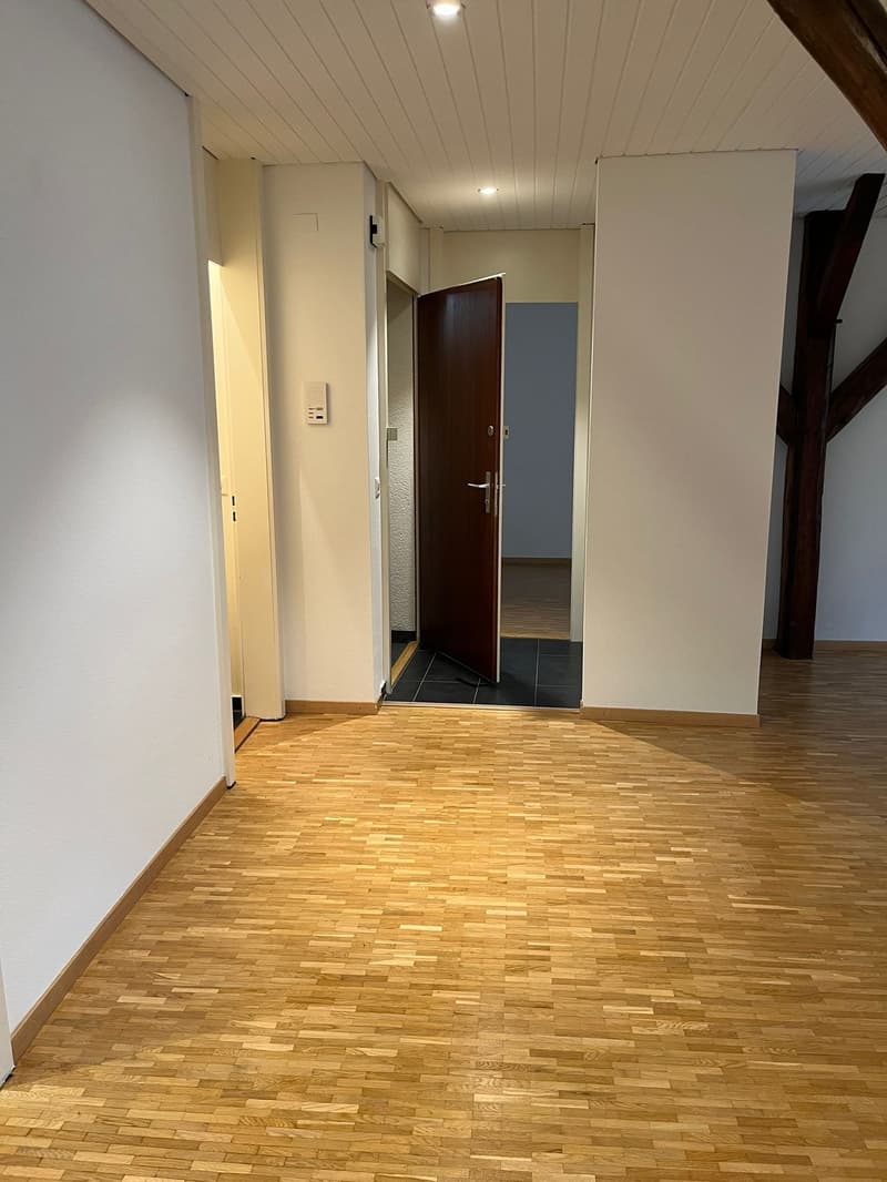 Delizioso appartamento di 2,5 locali al 4° piano nel centro di Losanna (5)
