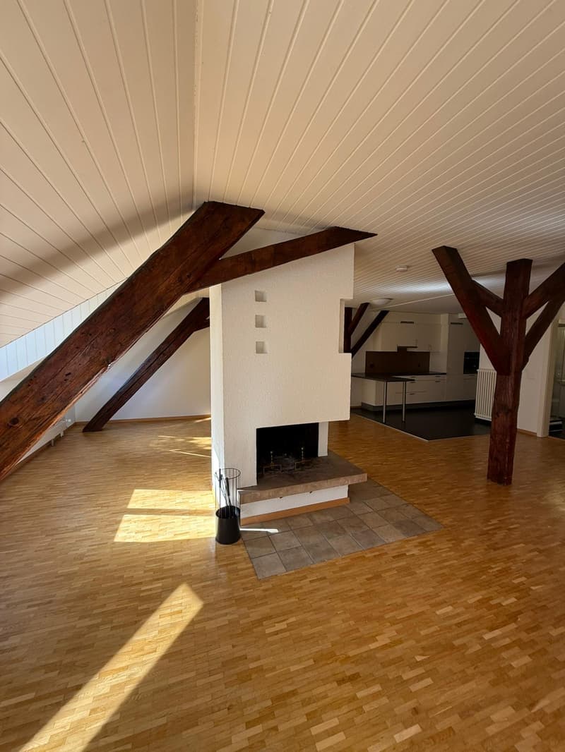 Delizioso appartamento di 2,5 locali al 4° piano nel centro di Losanna (3)