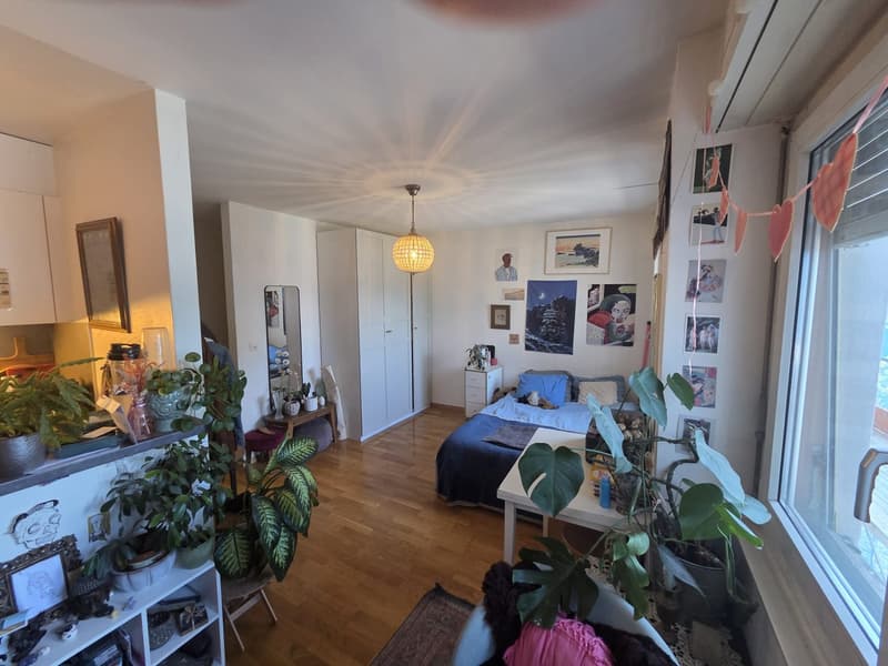 Spacieux studio dans immeuble avec piscine dans un cadre verdoyant (3)