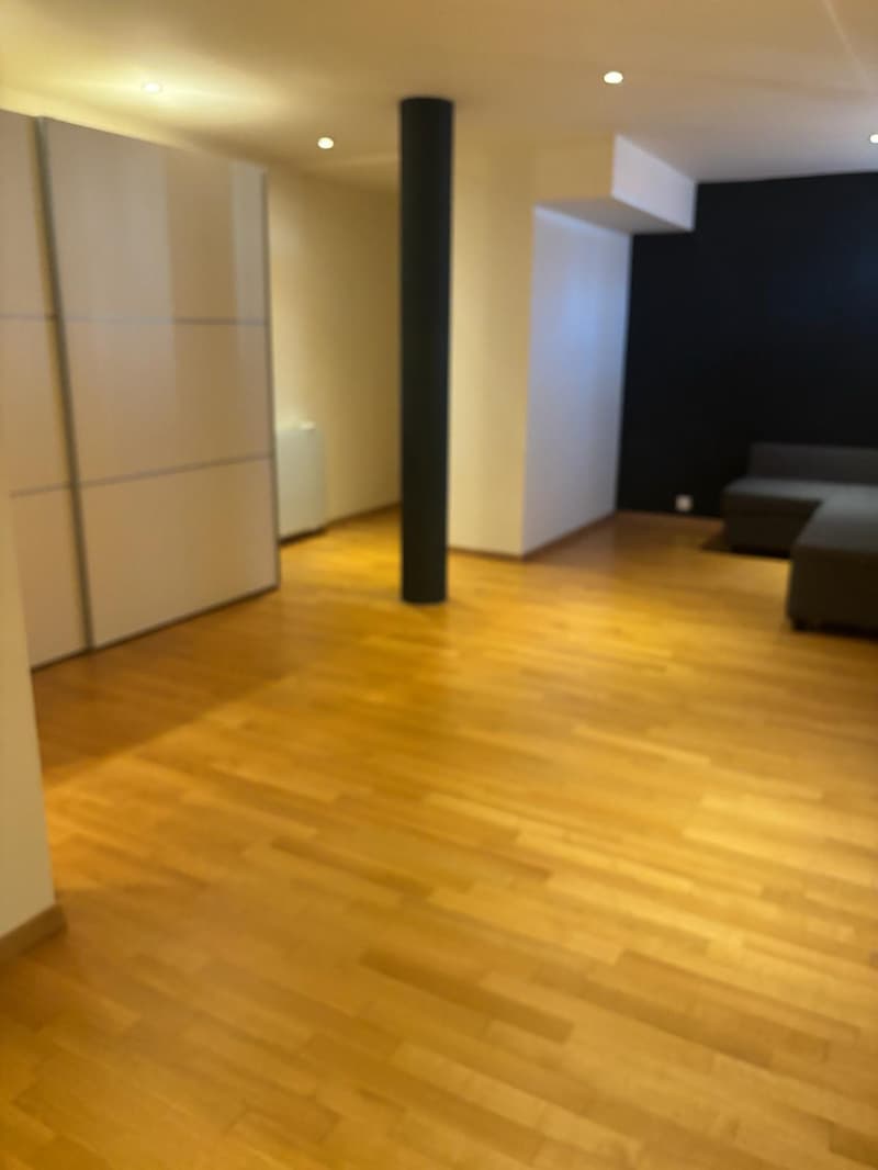 Local polivalent de 33 m² équipé d'une cuisine et une salle d’eau (2)
