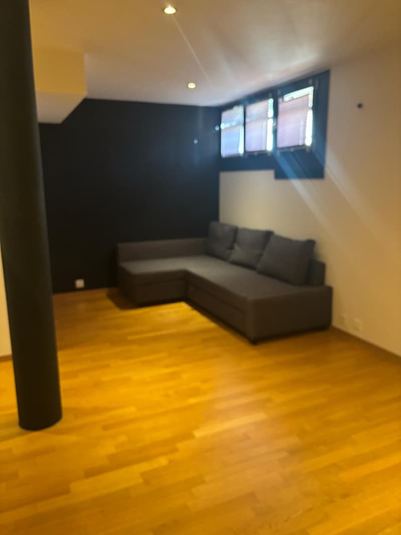 Local polivalent de 33 m² équipé d'une cuisine et une salle d’eau (3)