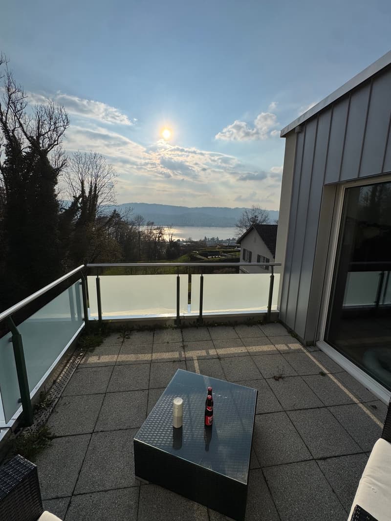 Spacious 6-Room Family House for Rent in Küsnacht (11)