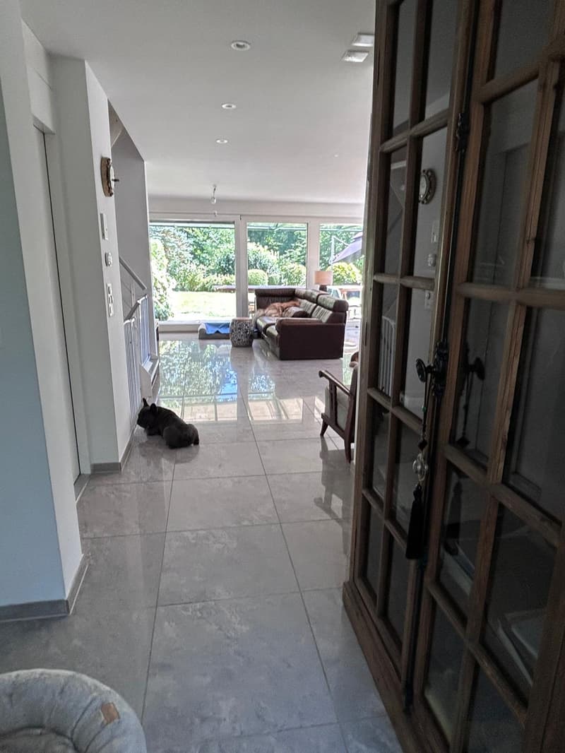 Spacious 6-Room Family House for Rent in Küsnacht (9)