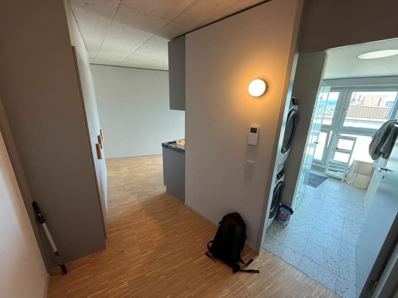 Appartement loft stylé 2.5 pièces - 9e étage à Zürich-Triemli (4)