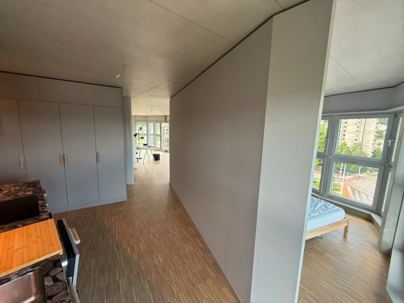 Appartement loft stylé 2.5 pièces - 9e étage à Zürich-Triemli (9)