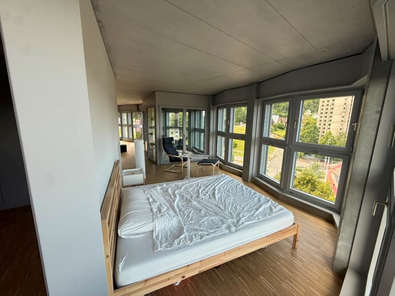 Appartement loft stylé 2.5 pièces - 9e étage à Zürich-Triemli (7)