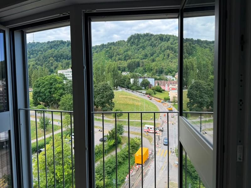 Appartement loft stylé 2.5 pièces - 9e étage à Zürich-Triemli (13)