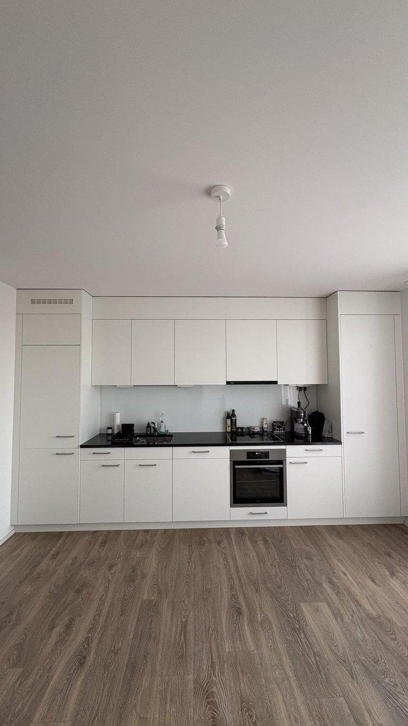 Bright & Modern 2.5 - Room Apartment in Zürich Altstetten (3)