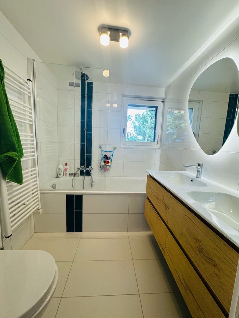 Bright villa of standing in an exceptional setting in Grandvaux, with a view of the lake and the vineyards (15)