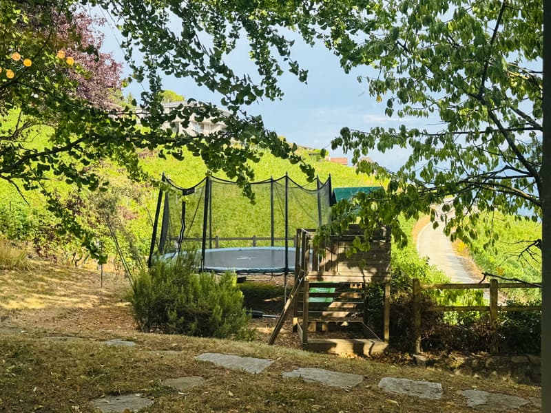 Bright villa of standing in an exceptional setting in Grandvaux, with a view of the lake and the vineyards (18)