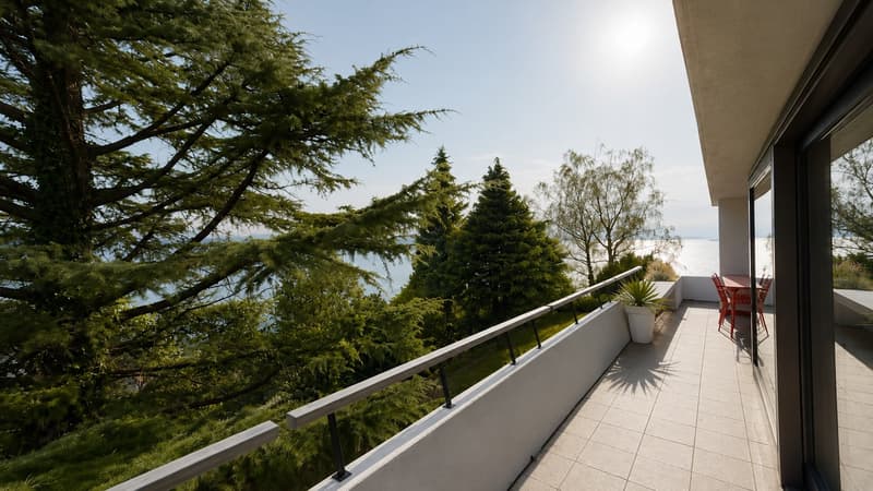 Bright villa of standing in an exceptional setting in Grandvaux, with a view of the lake and the vineyards (3)