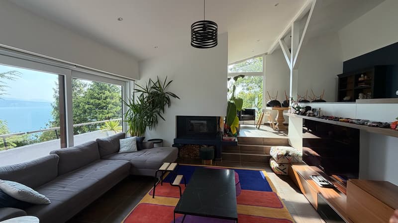 Bright villa of standing in an exceptional setting in Grandvaux, with a view of the lake and the vineyards (1)
