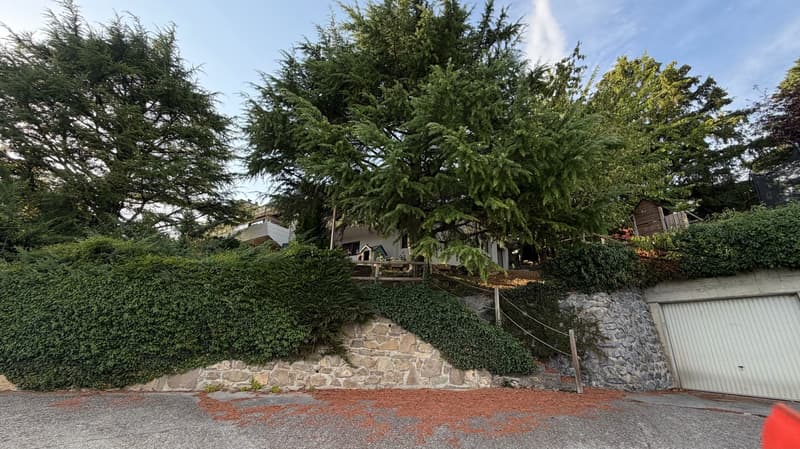 Bright villa of standing in an exceptional setting in Grandvaux, with a view of the lake and the vineyards (19)